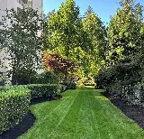 Para Space Landscaping Inc photo 3