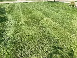 Edwards Landscaping LLC photo 7