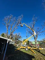 Blue J Landscape And Tree Service LLC photo 6