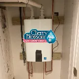 Cherry Blossom Plumbing photo 4