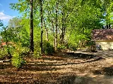 Hodges Tree & Landscape photo 8