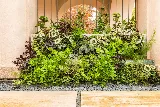 Madroño Landscape Design Studio photo 6
