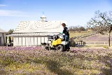 American Western Lawn and Landscape