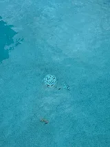 Superb Pools photo 8