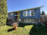 Mex Roofing and Eavestroughing inc. photo 6