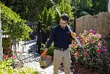 Pest & Termite Consultants photo 3