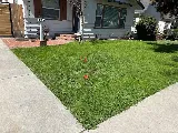 Southland Pest Control photo 7