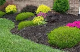 CMG Landscaping photo 8