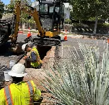 The Sewer Company