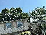Ambia - Pennsylvania photo 5