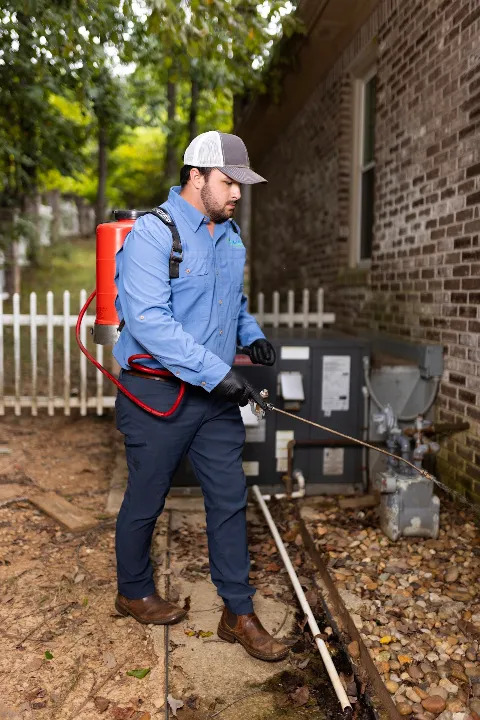 Atlus Pest Solutions Huntsville photo 1