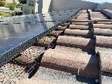 Pest Pros Las Vegas photo 5
