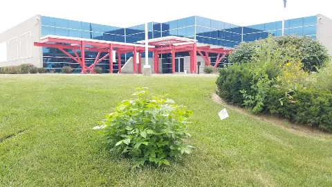 Braun's All-Year Landscaping LLC in Milwaukee