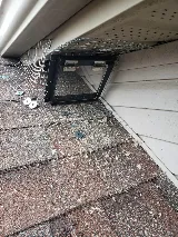 Acme Pest Solutions photo 4