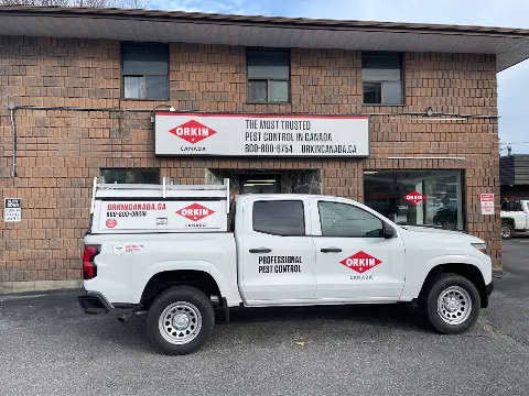 Orkin Canada Pest Control in North Bay