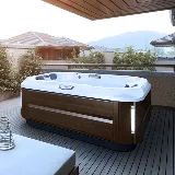 Premium Pool and Spa photo 2