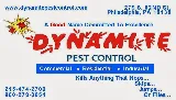 Dynamite Pest Control photo 3