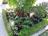 Brothers Landscape Services photo 5