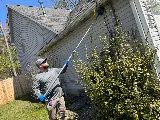 Colonial Pest Control photo 8
