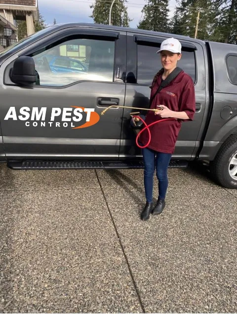 ASM Pest Control photo 1