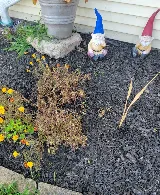 Landscape Associate of WNY photo 8