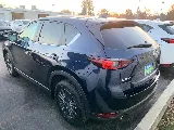 Precision Window Tinting Co photo 4