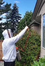 Owls Eye Pest Control photo 8