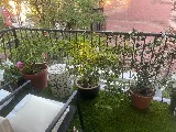 Metropolitan Garden Design photo 4