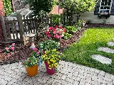 Braun's All-Year Landscaping LLC photo 3