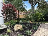 Coconut Grove Landscape & Design photo 3
