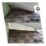 Bats to Rats LLC - Wildlife Control and Prevention photo 3