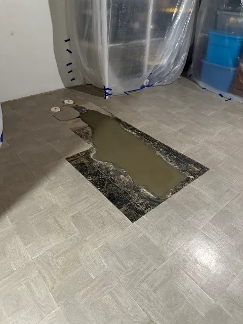 Best Plumbing in Detroit