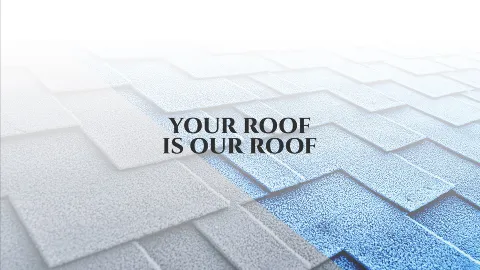 Roof Life Of Oregon photo 1