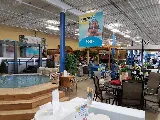 Pioneer Family Pools and Spas photo 4