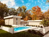 C Ray Pools photo 6