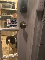 North Florida Emergency Locksmith Services photo 6