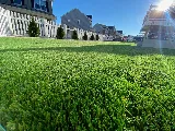 J A & Sons Landscaping photo 5