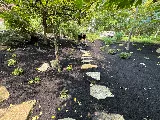 Must Lawn & Landscape LLC photo 7