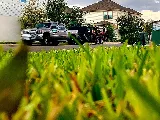 Unique Lawn Care