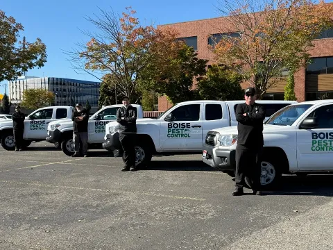 Boise Pest Control in Boise