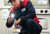 Fox Pest Control Newport News photo 8