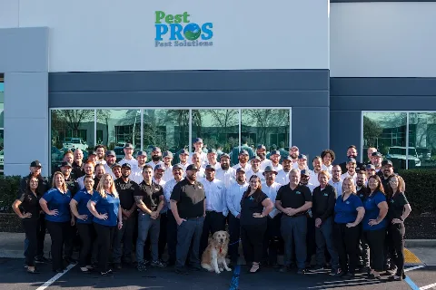 Pest Pros Pest Solutions in Concord