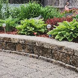 Champagne Landscaping photo 6