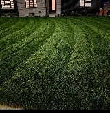 Malik's Turf photo 2
