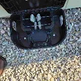 Bulwark Exterminating photo 2