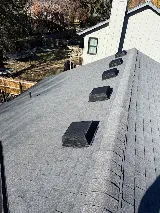 Local Guy Pest Control photo 8