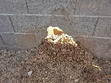 Brown Masonry photo 5