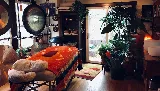 Gardenalia LLC photo 5
