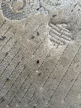 Fast Pest Control - Oakville photo 5