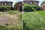 Whitby Landscaping, Gardening & Sod?? photo 8